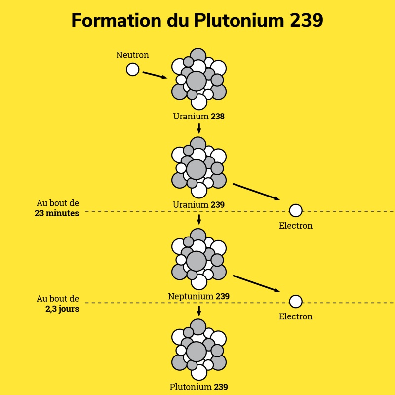 Tout savoir sur le plutonium Orano