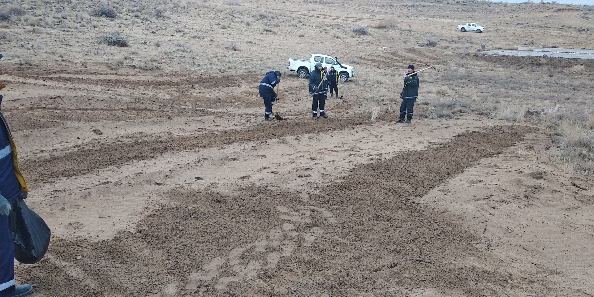 Opération de revégétalisation