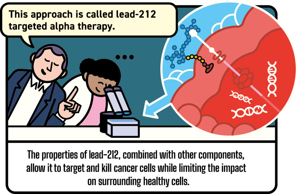 The scientist looks through a microscope while the manager explains. A diagram illustrates the targeting of cancer cells. Speech bubble: "This approach is called lead-212 targeted alpha therapy." — The properties of lead-212, combined with other components, make it possible to target and destroy cancer cells while limiting the impact on surrounding healthy cells.